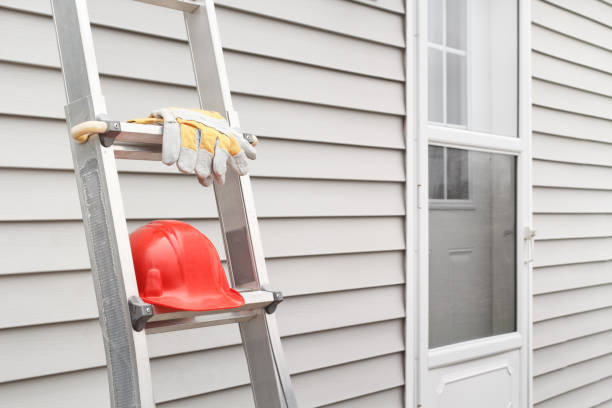 Best Shed Removal  in Pine Lawn, MO